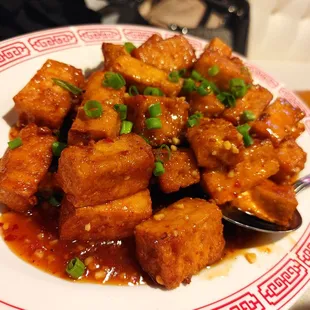 a plate of tofu with sauce and green onions