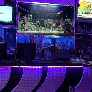 Sweet aquarium behind the bar