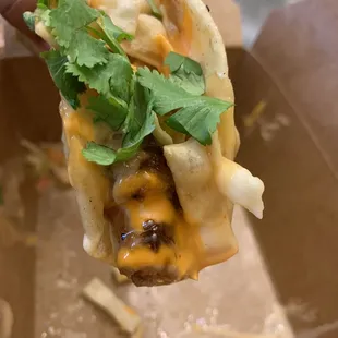 Teriyaki Wonton Chicken