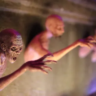 a group of creepy dolls
