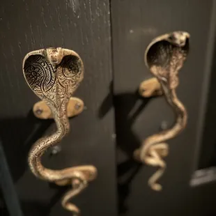 a door handle with a snake on it