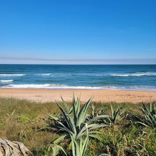 a view of the beach and the ocean