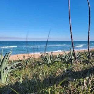 a view of the beach and the ocean
