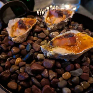 Western Addition Oyster