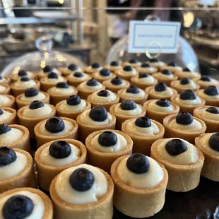 Blueberry tart