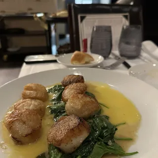 Sea Scallops*