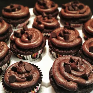 Death by Chocolate Cupcakes