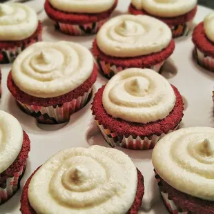 Red Velvet Cupcakes