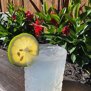 a glass of lemonade with a slice of lemon