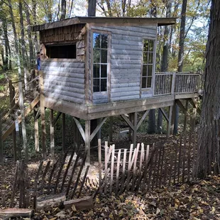 The treehouse along the trail