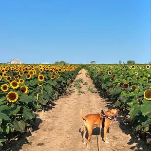 GO TO BEASLEY'S INSTEAD