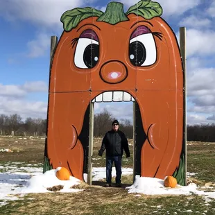 Pumpkin patch in the snow