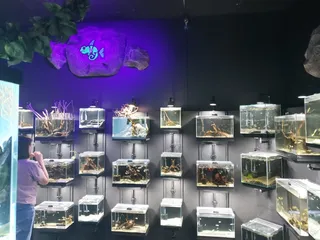 Exotic Pets Wichita