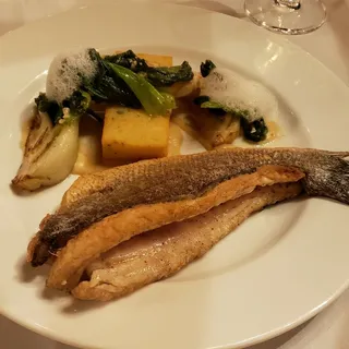 Mediterranean Sea Bass