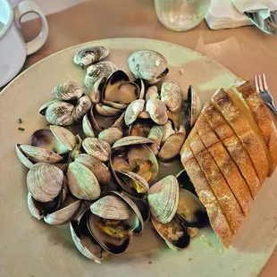 mussels, oysters and mussels, food, oysters, shellfish