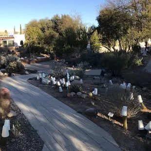 View of the paths. At the time of this photo, they were protecting from the frost.