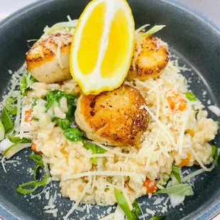 Lemon risotto with scallops