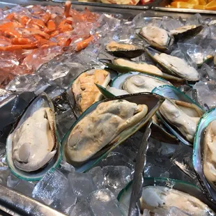 mussels, oysters, food, oysters and mussels, shellfish