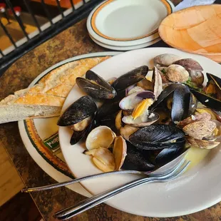 Mussels clam appetizer