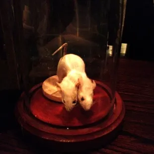 Algernon is going to need more than just flowers.