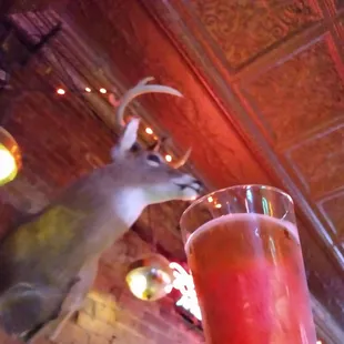 2019 Oktoberfest Beer