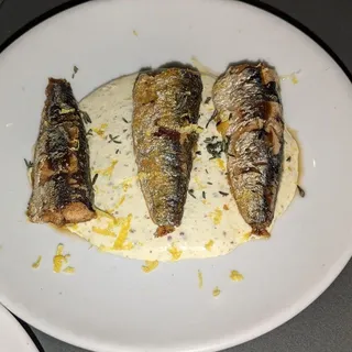 Grilled Sardines