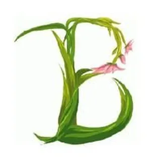 Betsy M.