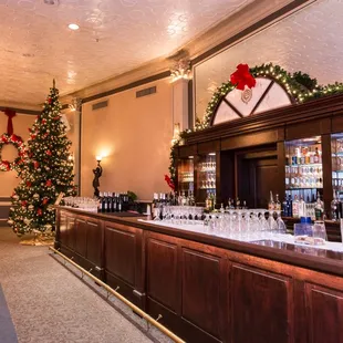 a christmas tree in the background