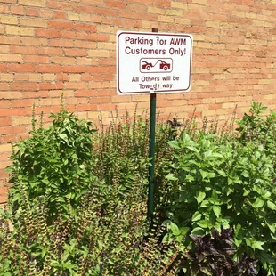 They have an amazing herb garden out front.