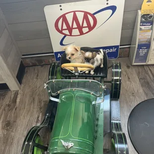 This place is a great place and it is a great place to get a car fixed when you need it done