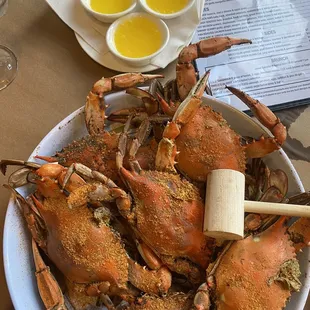 Half dozen large Capital Crabs