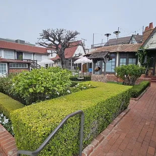 Outside. Owned by former NHL hockey player Teemu Selänne, who also owns the Selanne Steak Tavern next door.