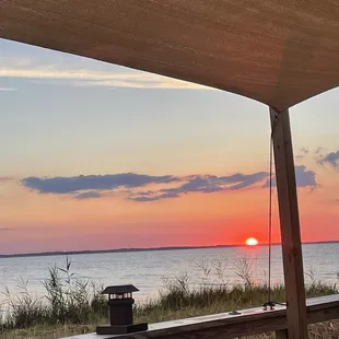 View from the back bar