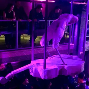 Beautiful sculpture hanging from the ceiling.