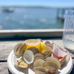 Clams