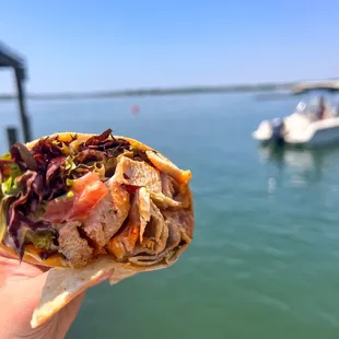 Chicken Wrap (buffalo)