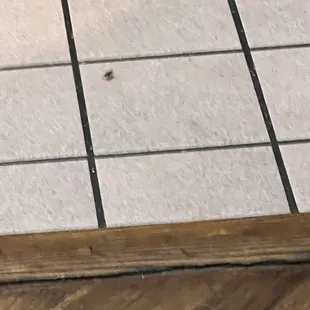 Roaches and horrible guest service