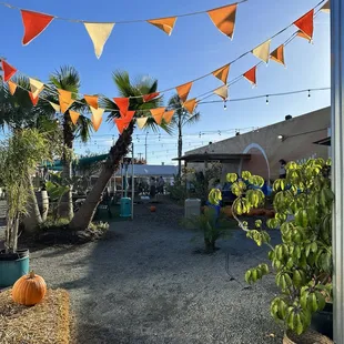 a hay bale with pumpkins on it