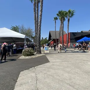 Sad Summer 2024, Rock n Brews is in the background