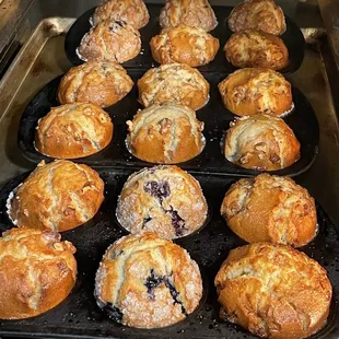 a tray of blueberry muffins