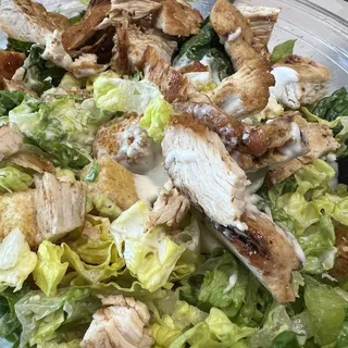 Chicken Caesar Salad