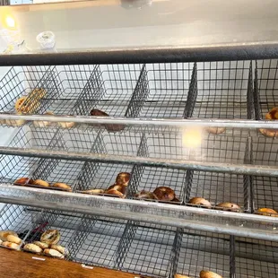 bagels, interior