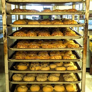 Fresh out of the oven