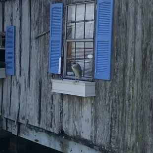 Bait House local