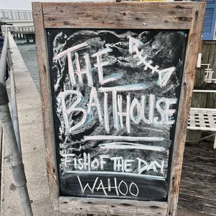 Fish of the day