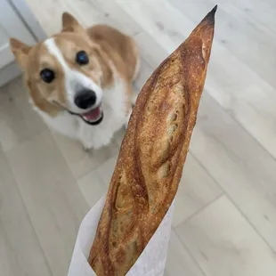 Baguette