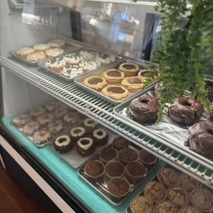 In-store bakery case