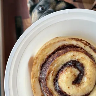 Cinnamon roll
