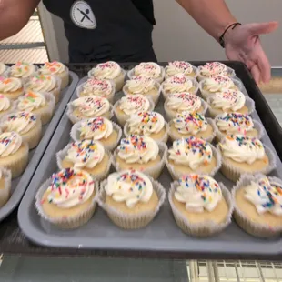 Cupcakes