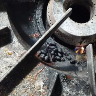 we didn't have black beans at our reception